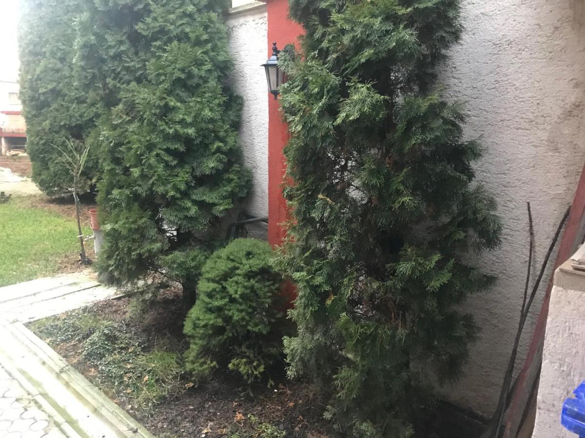 Apartman Jeruzalemska Τρνάβα Εξωτερικό φωτογραφία